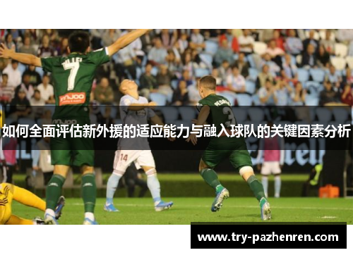 如何全面评估新外援的适应能力与融入球队的关键因素分析