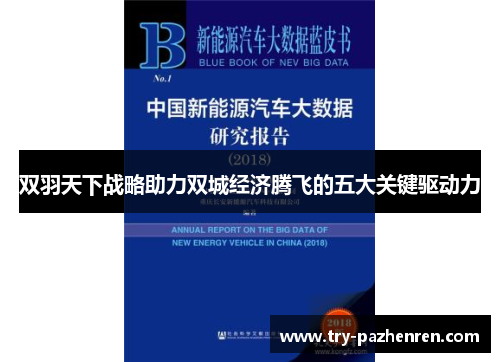 双羽天下战略助力双城经济腾飞的五大关键驱动力