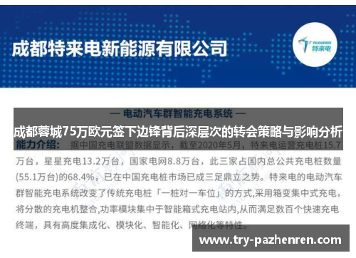 成都蓉城75万欧元签下边锋背后深层次的转会策略与影响分析
