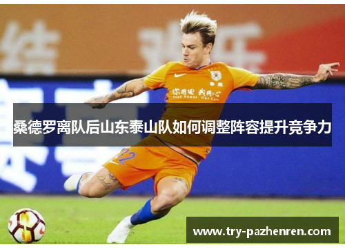 桑德罗离队后山东泰山队如何调整阵容提升竞争力