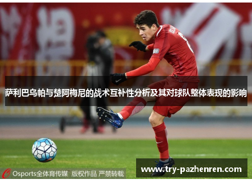 萨利巴乌帕与楚阿梅尼的战术互补性分析及其对球队整体表现的影响 萨利巴乌帕与楚阿梅尼的战术互补性分析及其对球队整体表现的影响