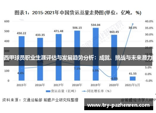 西甲球员职业生涯评估与发展趋势分析：成就、挑战与未来潜力